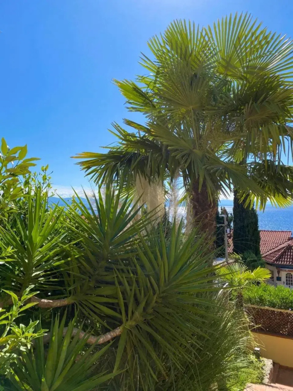 VILLA LOVRAN - heated pool - 5 min walk to the beach - incredible sea view - фото 7