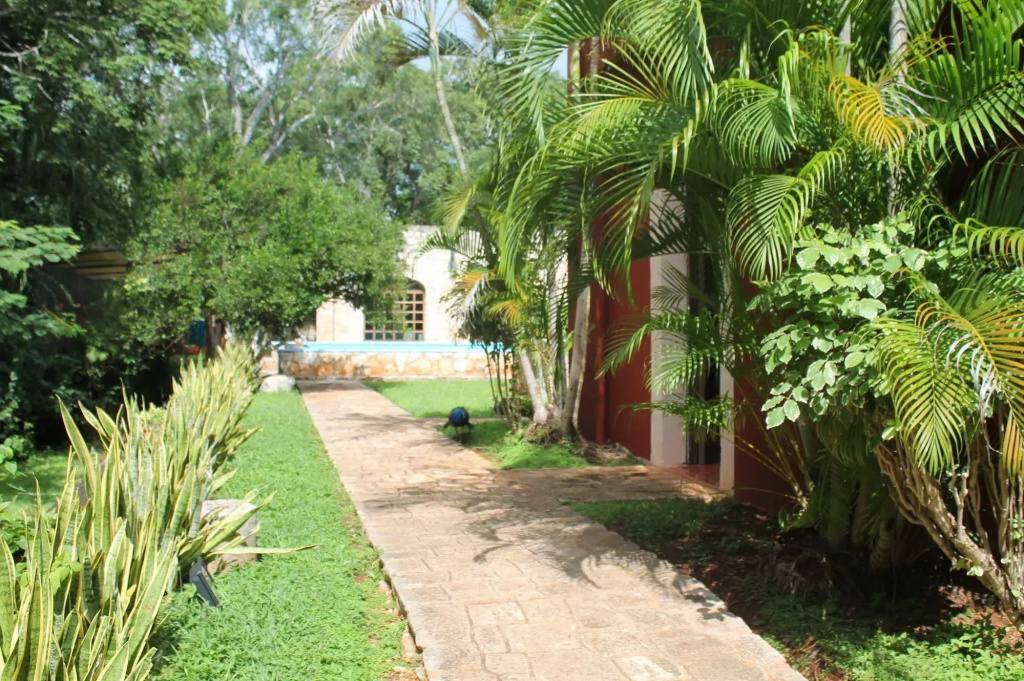 Hacienda Blanca Flor - Général