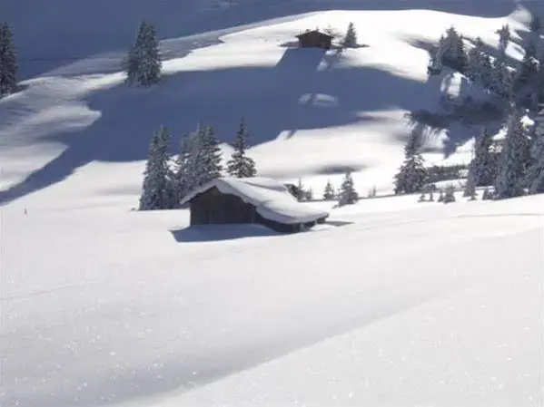 Des Alpes - Général