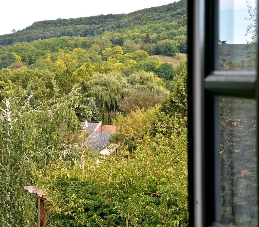 Kapolcs Cottage - фото 9