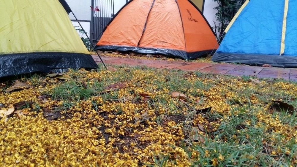 Arte Brazil Ibirapuera Hostel