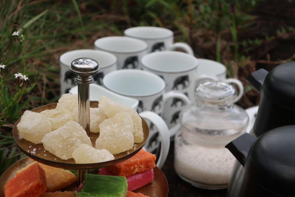 Mahoora Tented Safari Camp - Udawalawe