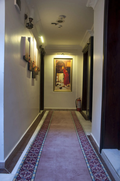Aslan Istanbul - Général