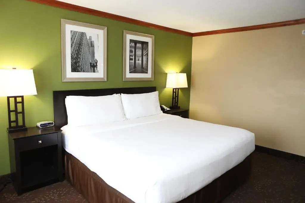 Holiday Inn Chicago Oakbrook by IHG - Chambres