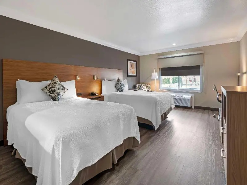 Best Western Plus Newport Mesa Inn - Chambres