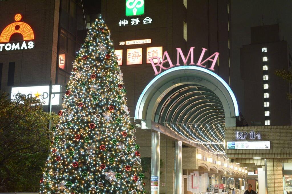 Tokyo Central Youth Hostel by null