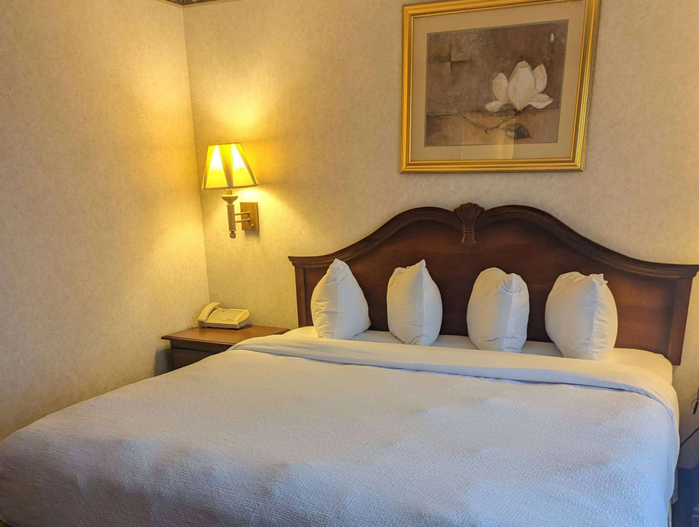 Wingate Suites By Wyndham Mansfield - Général