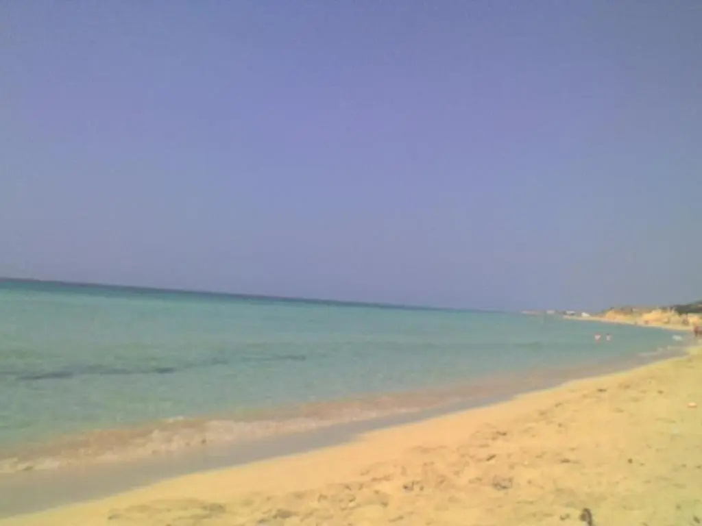 image url
