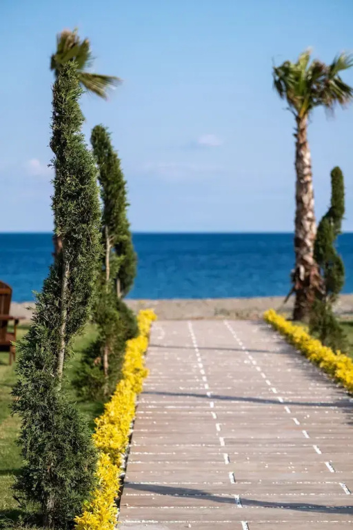 Beach & Waterfront