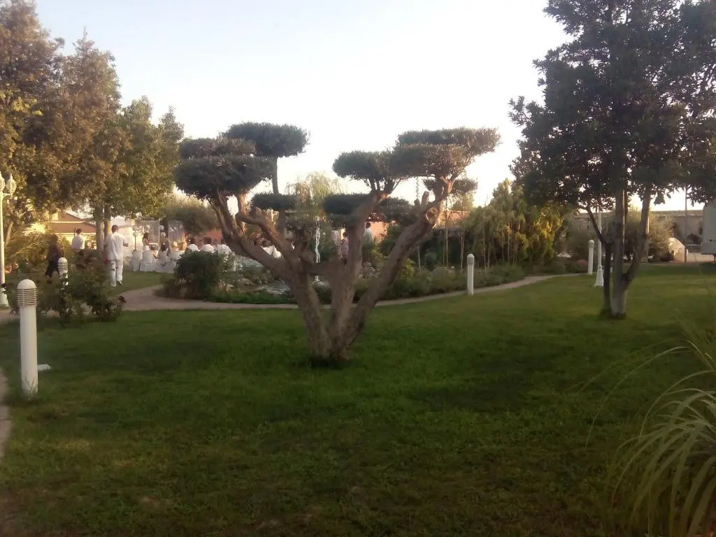 Los Jardines De Lola - Chambres