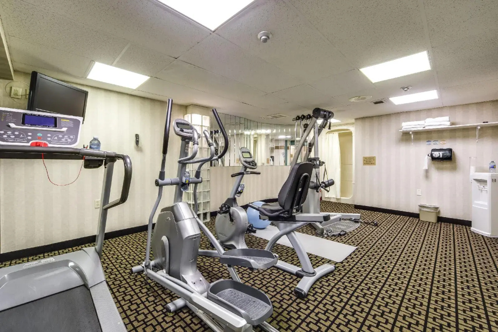 Monte Carlo Inn Oakville Suites - Général