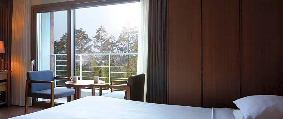 Jeju Aerospace Hotel - Chambres