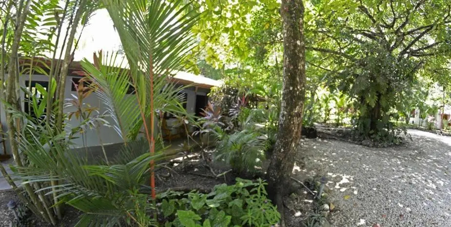Indigo Yoga Resort - Chambres