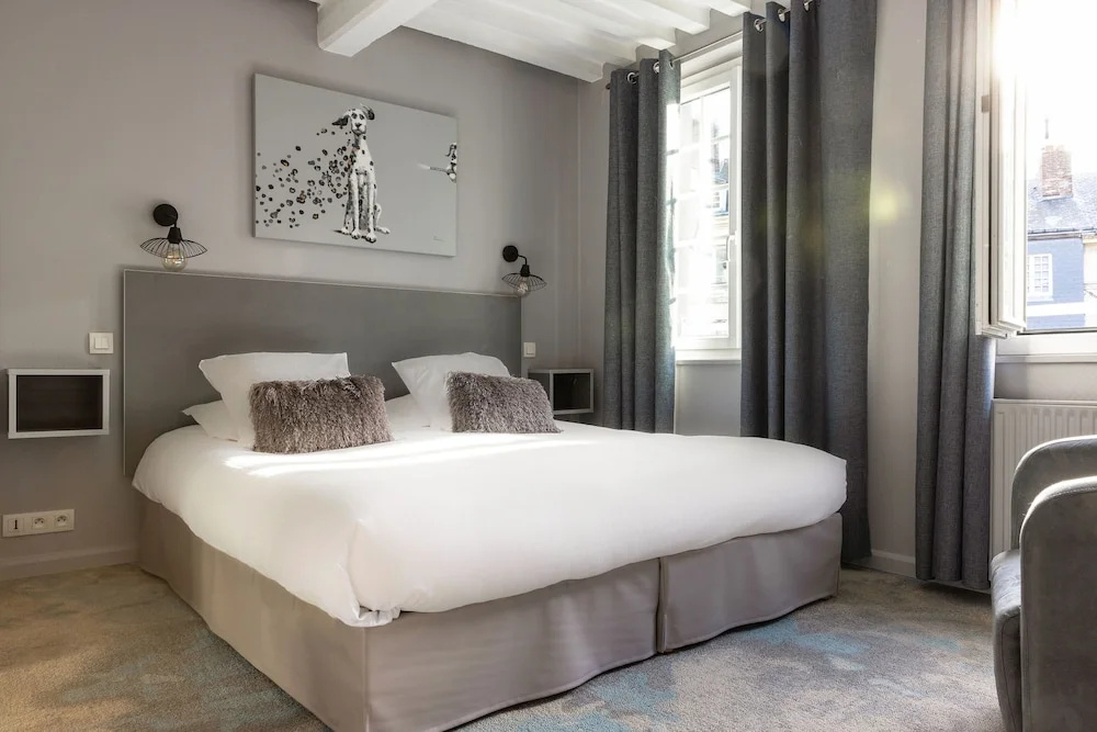 Hotel du Dauphin - Chambres