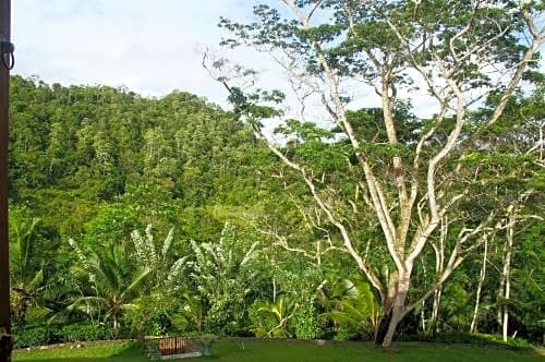 Niyagama House