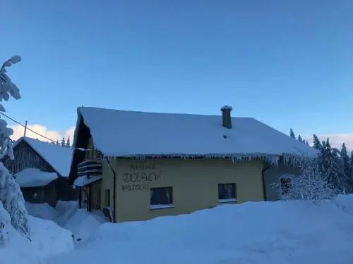 Pension Tofalvi - Général