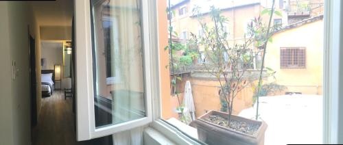 Balcony & Terrace