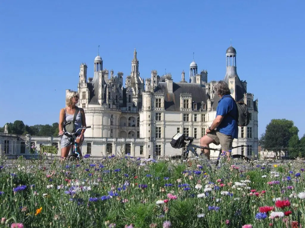 La Haute Bédinière - Chambres