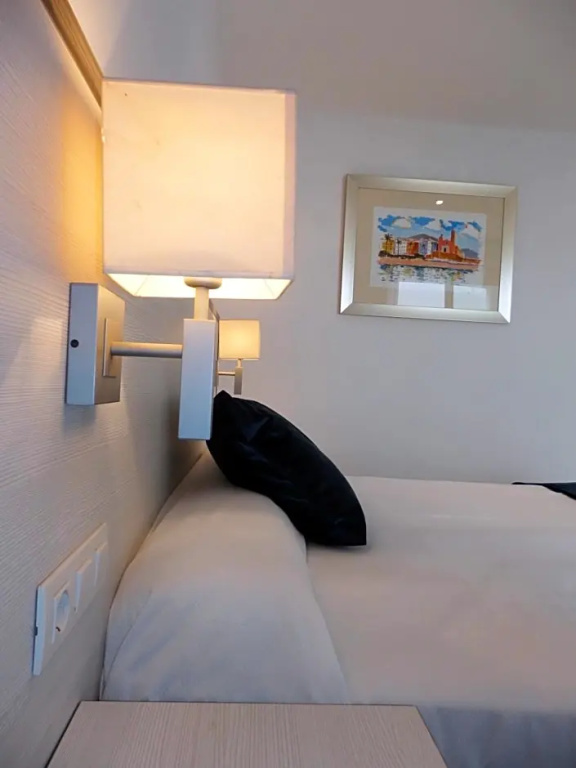 Parrots - Chambres