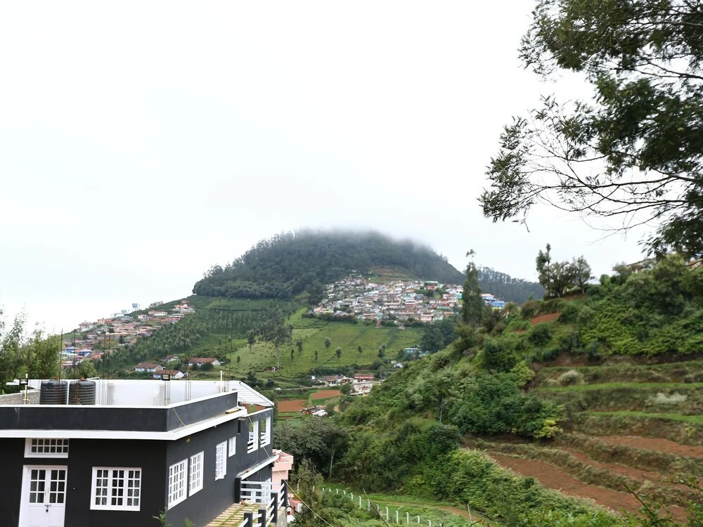 The Surya Village Resort