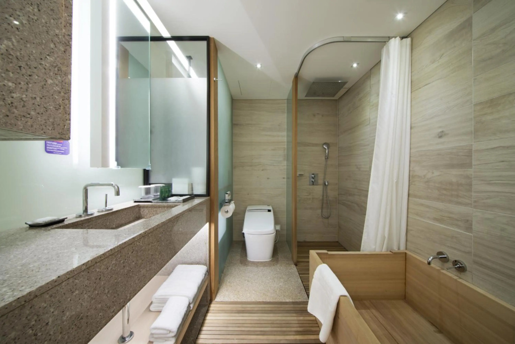 Sotetsu Hotels The Splaisir Seoul Myeong-Dong - Général