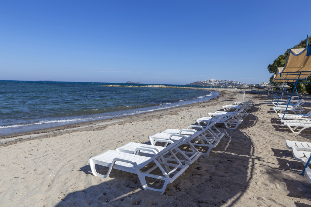 Beach & Waterfront
