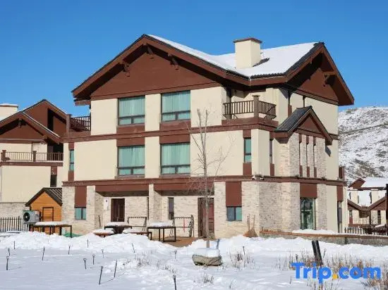 Altay Picturesque Valley Hotel — фото 2