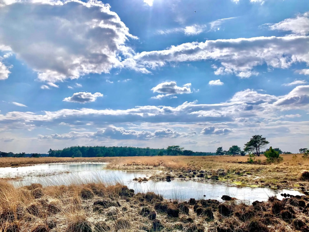 Gouden Hert: relaxen in comfort! #otterlo #hogeveluwe