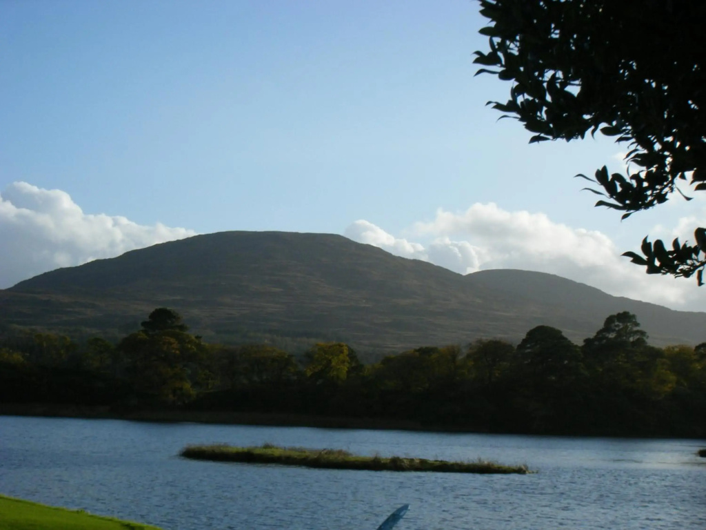Ashfield Bed & Breakfast