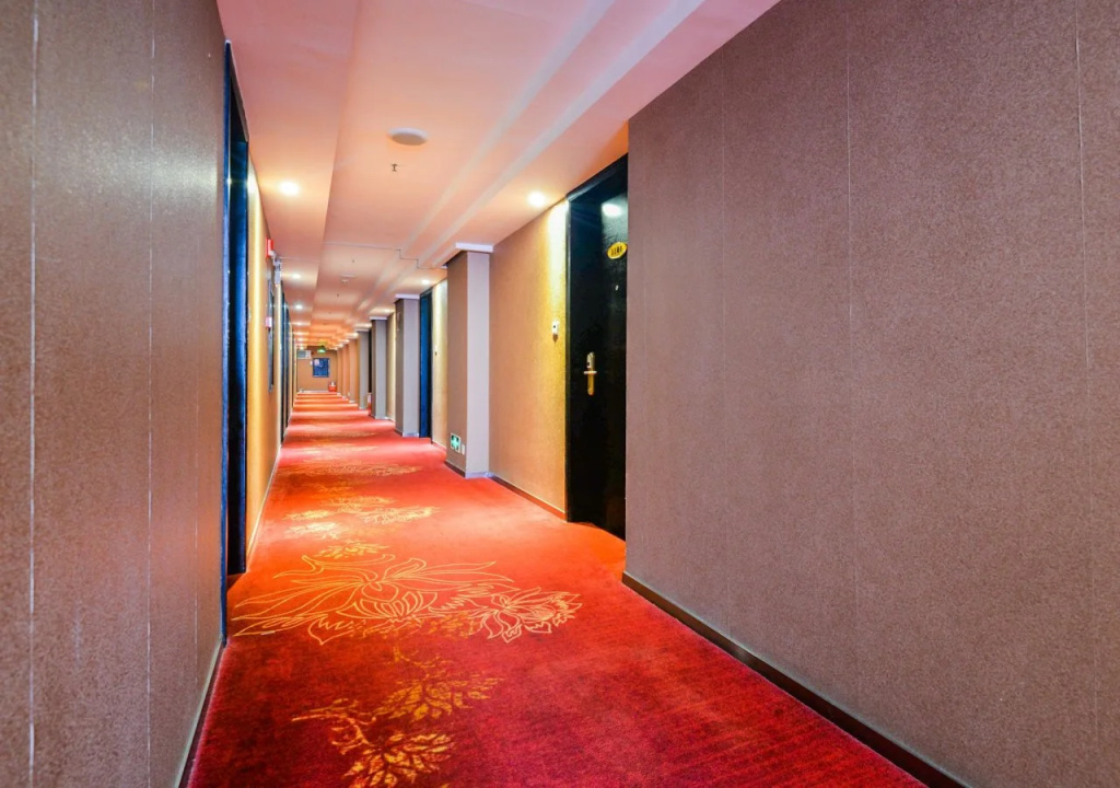 Henry Business Hotel - Général