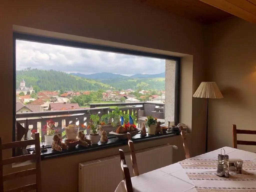 Bucovina Lodge Pension - Général