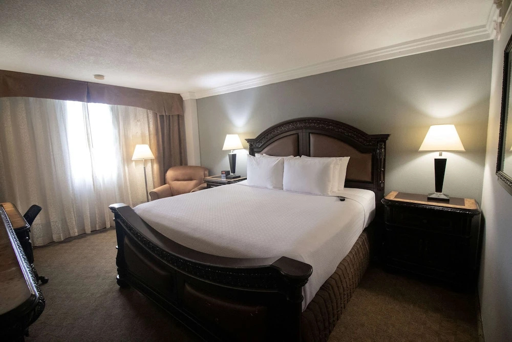 Wyndham Houston near NRG Park/Medical Center - Chambres