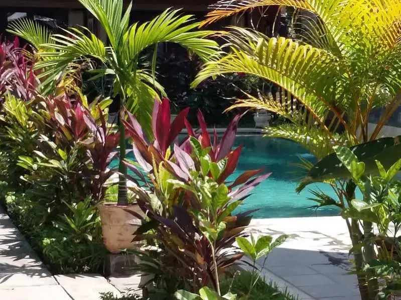 The Sari Bungalows