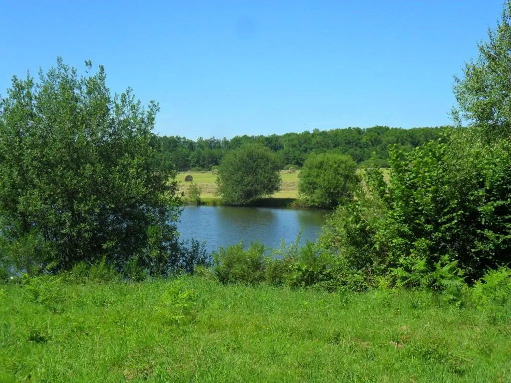 Voir la photo 3 — Bachellerie