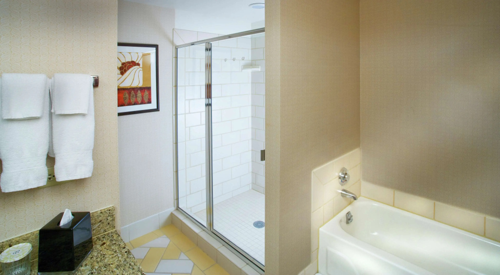 DoubleTree by Hilton Chicago O'Hare Airport - Rosemont - Général