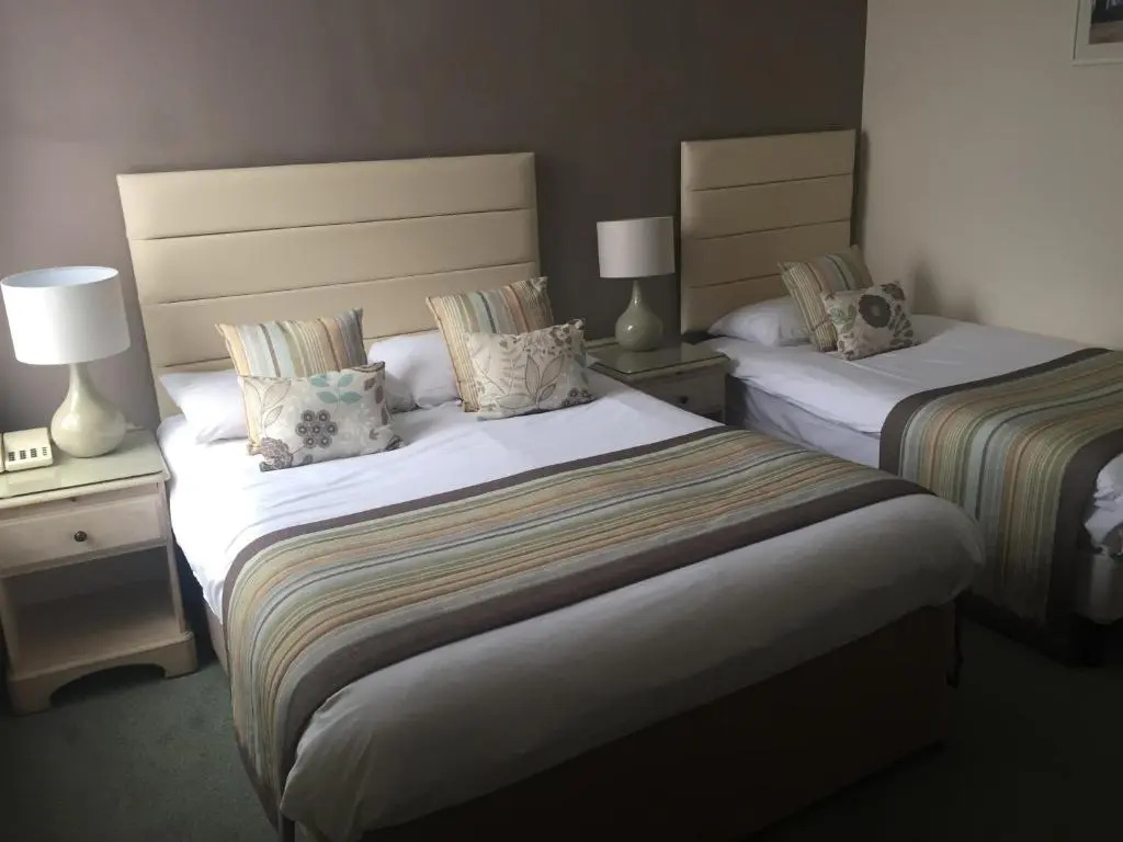 Camelia Hotel - Chambres