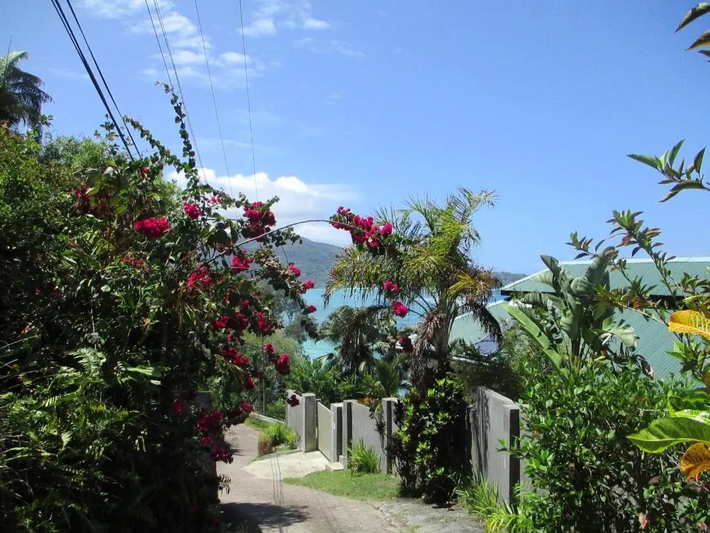 Chalets Bougainville - Chambres