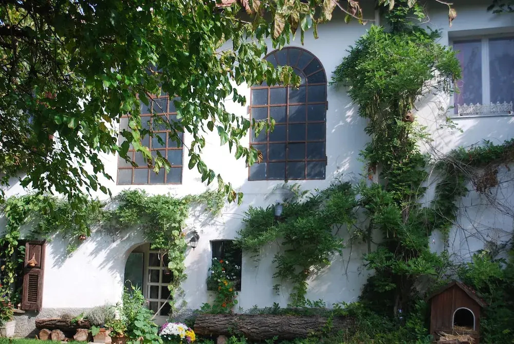 Green House