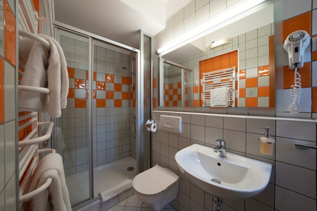 Hotel Villa Dvor - Général