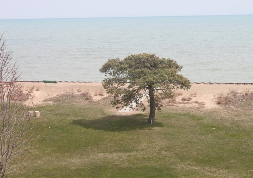 Beach & Waterfront
