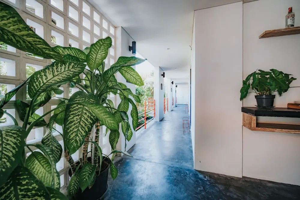 Allia Residence - Général