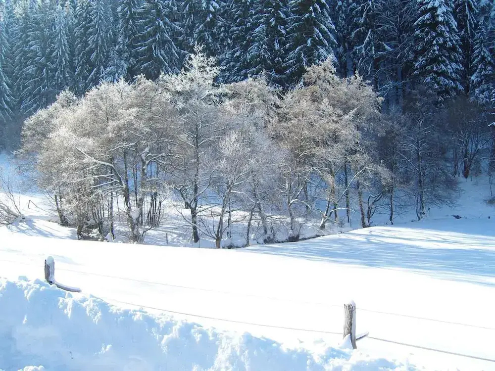 Birgits Landhaus