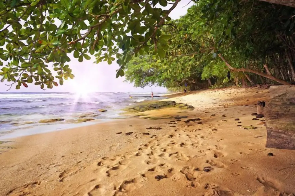 Beach & Waterfront
