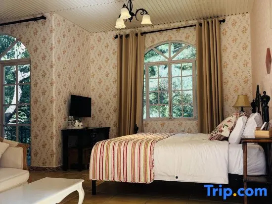 Standard Double room with courtyard view (full double bed)