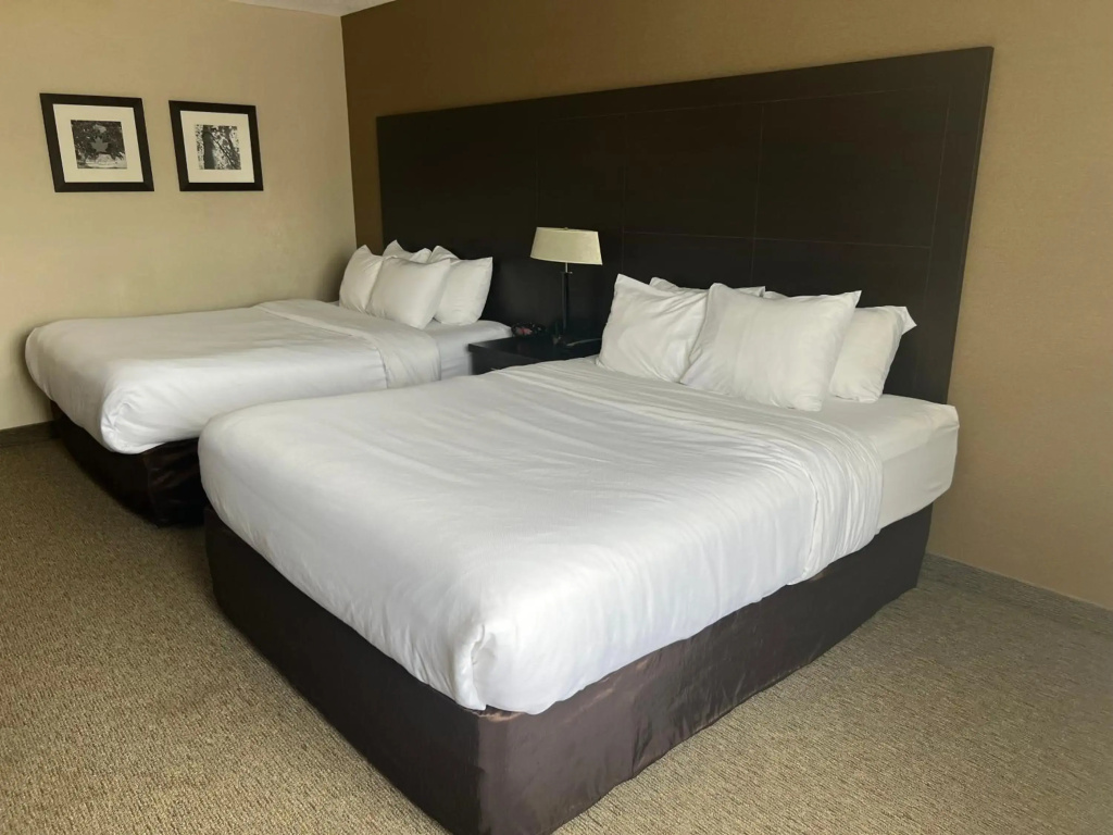 Comfort Inn - фото 2
