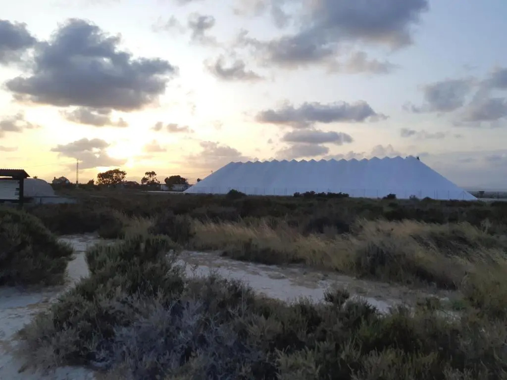 75 Avinguda de Murcia