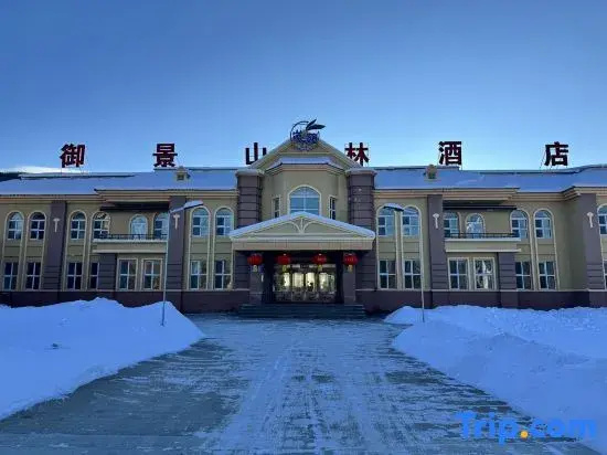 Mohe Yujing Mountain Forest Hotel (Arctic Village)