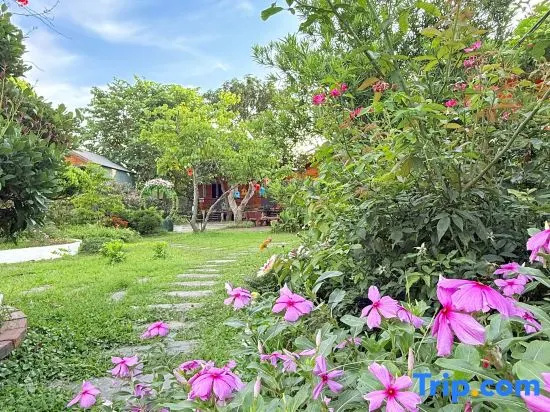 Cô Tô Homestay 368