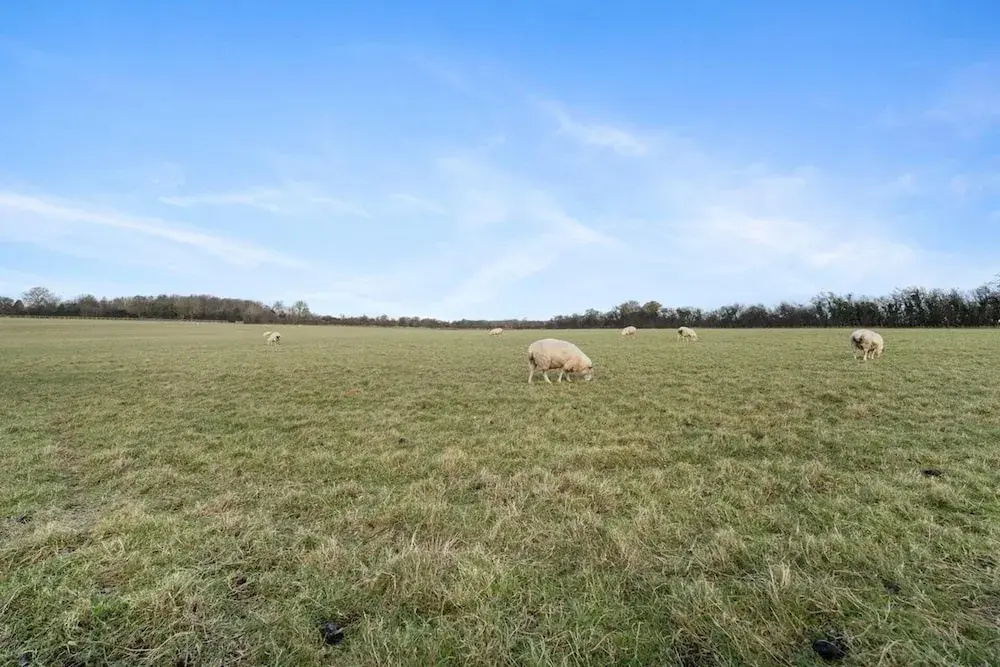 Chickens, Local Pubs and Country Walks!