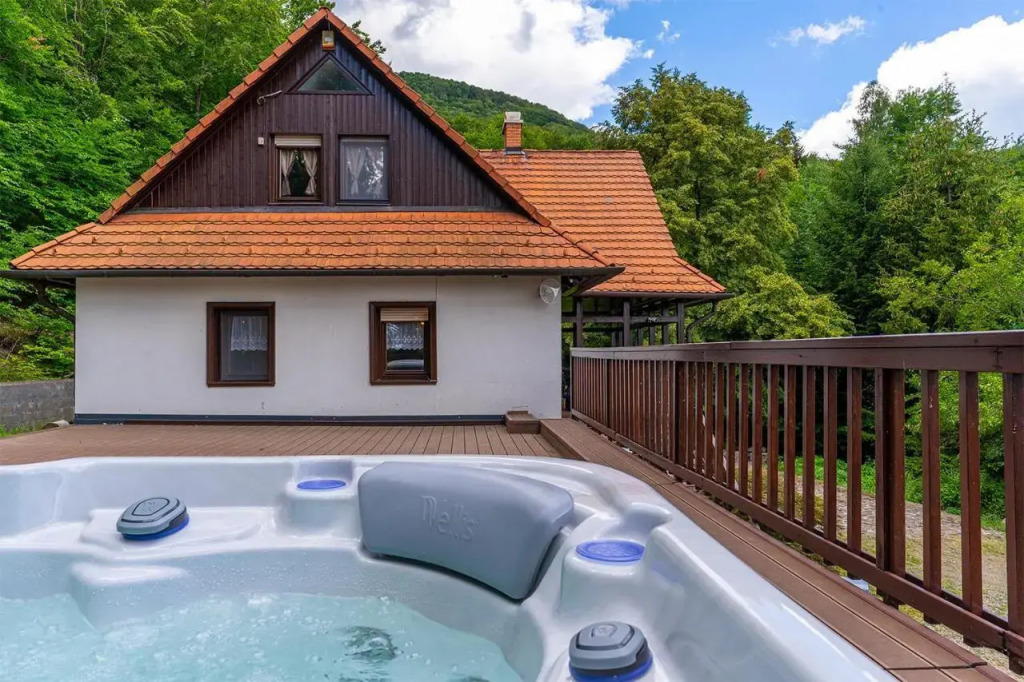 Villa Szalamandra - фото 10